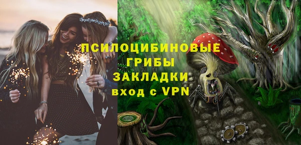 spice Арсеньев