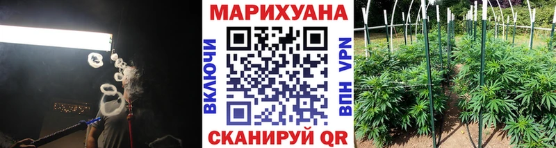 Шишки марихуана Amnesia  купить  цена  Салехард 